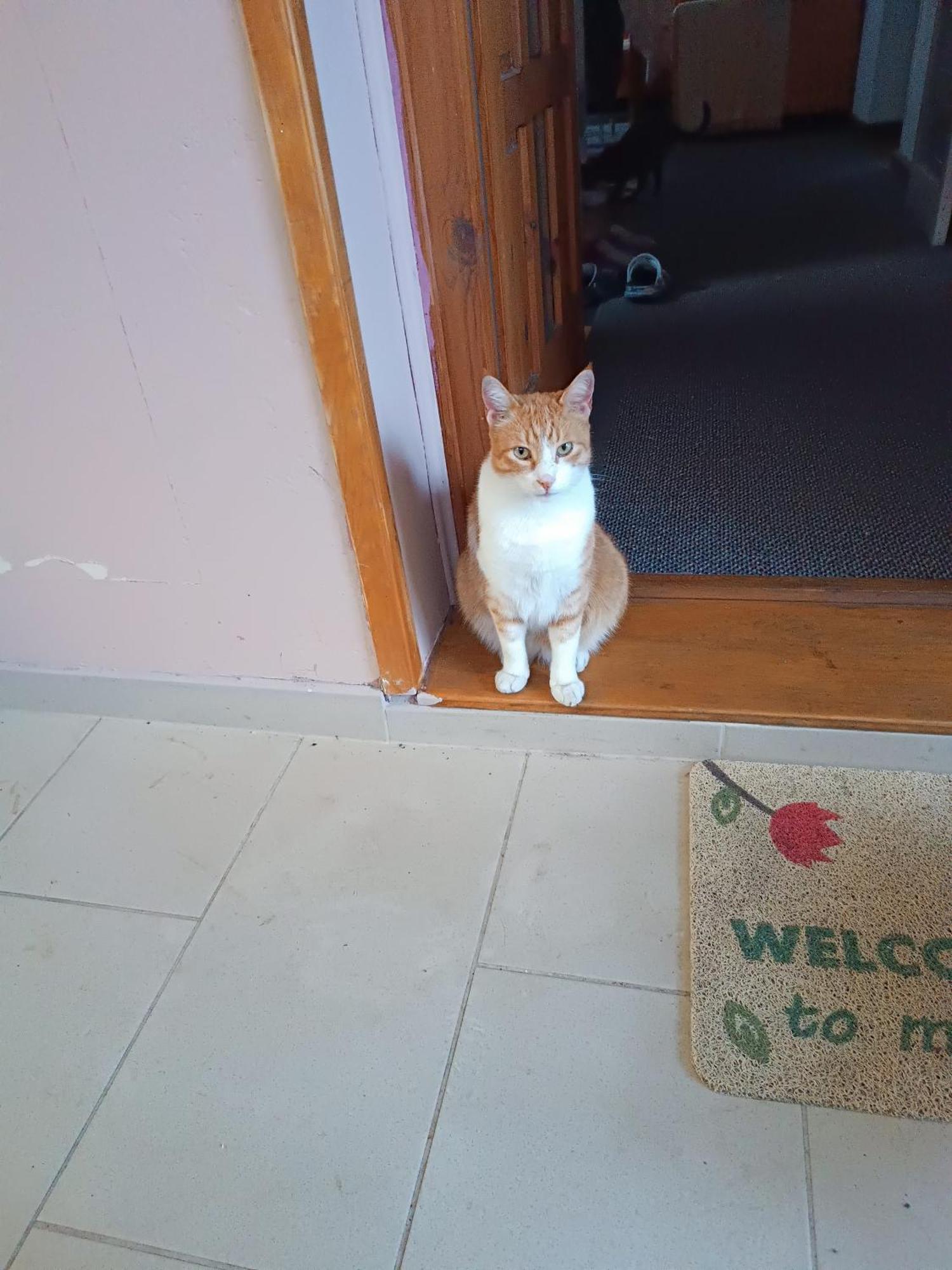 Bolero apartman SJJ Esterno foto